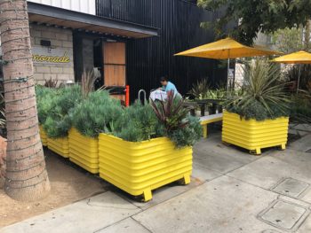 Corrugated Steel Planters Feature Pic