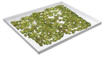 Perforated Aluminum Cannabis Drying Tray Picture