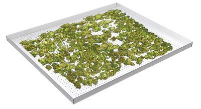 https://rackandshelf.com/wp-content/uploads/Perforated-Aluminum-Cannabis-Drying-Tray-Picture.jpg